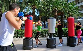 Sol Palmanova Mallorca